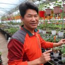 서씨농장 이미지