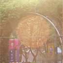 녹번서근린공원 이미지