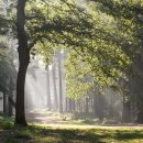 자연 NATURE 이미지