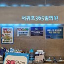 서귀포365일의원 이미지