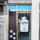 댕댕아띠 이미지