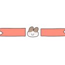 미오미오 고양이분양 이미지