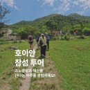 참투어 | 호이안에서 스피드보트 30분, 참섬 스노클링 투어 후기