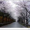 고남저수지 이미지