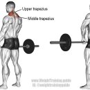 피그말리온짐 봉명센터 이미지