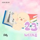 임신 22주차 23주차 24주차 증상, 육아책 추천 파티시에 예비맘 일상