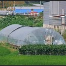 주생면 정충마을 이미지