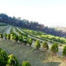 전제만목장 이미지