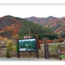 대아장식 네이버블로그