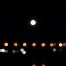 유림-1075 이미지