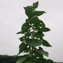 여리농장 이미지