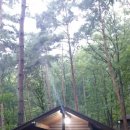 계명산자연휴양림 산막 이미지