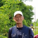 크린데이 이미지