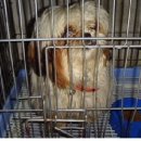 최가축병원 이미지