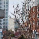 유통단지 전자도매상가 앞 | 송도웰카운티3단지 아파트 거주 후기, 미래가치와 생활편의 모두 잡았어요 😊