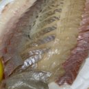 팔팔활어회팔팔물회전문점 이미지