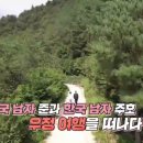 웰니스 코리아 이미지