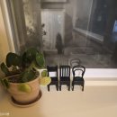 광주시립발레단 제135회 정기공연 | [ 광주 ] 커피숲 그리고 ' 호두까기 인형 ' 광주시립발레단 발레 공연