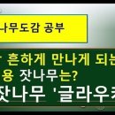 잣나무집 이미지