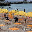 제주 이미지