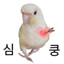 화화스토리 이미지