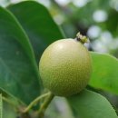 한우물농장 이미지