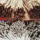 신우농자재 | [한국 대나무] 표시봉 대나무 표지봉.