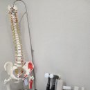 상도팔팔한의원 이미지