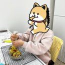 몽땅멍냥 이미지