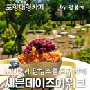 청하목욕탕 | 신광원탕 노천탕과 시원한 팥빙수를 같이 즐기는 포항대형카페 세븐데이즈어위크