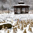 국립백두대간수목원 판매센터 이미지