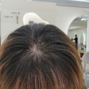 산곡역 | 청천동 미용실 26도헤어 산곡역점 새치커버 애쉬브라운 염색 후기