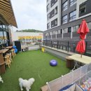 원애견샵 이미지