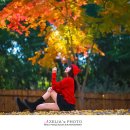 피크닉장 이미지