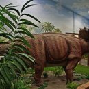 덕소자연사박물관 이미지