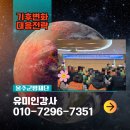 &#34;기후변화 대응, 지역사회에서 어떻게 실천할까? 울주...리뷰&#34; 울산 부산 대구 경북 경남 [기후변화...