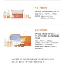 까치기획 | [설화수] 탄력(에센셜) 3종 선물기획세트 구매 후기(내돈내산)