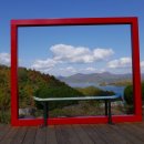 게으른 악어 이미지