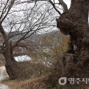 동삼마을회관 이미지