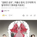 ?? : 페미니즘 비혼비출산 운동은 간첩 조선족들의 소행이다 이미지