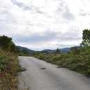 상심정지 이미지