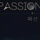 러브러브패션