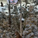 평화로현대서비스(주) | 서울 더현대 크리스마스 빌리지 현장 웨이팅 후기 ( QR 등록, 대기시간 )