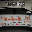 펫사랑 콜 네이버블로그