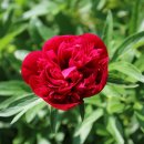 세보식품 이미지