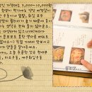 천애부 이미지