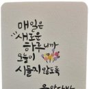 엔제이드림