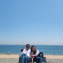 해송피크닉장 이미지