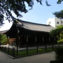 삼선19 이미지