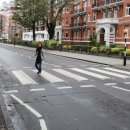 애비로드 이미지